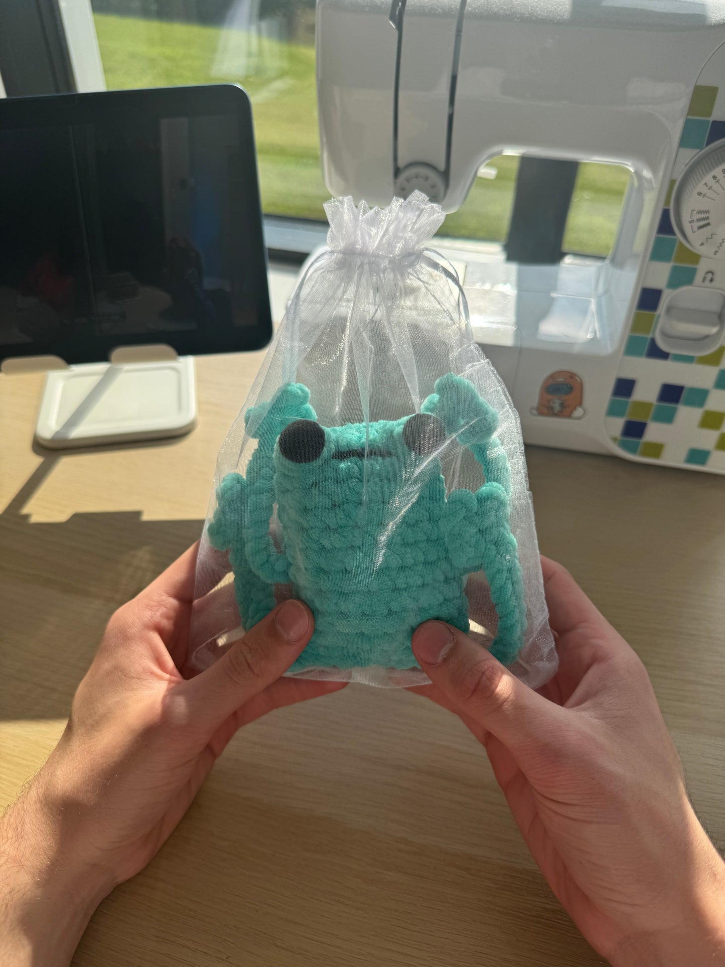 Handmade jumbo crochet leggy frog plushie