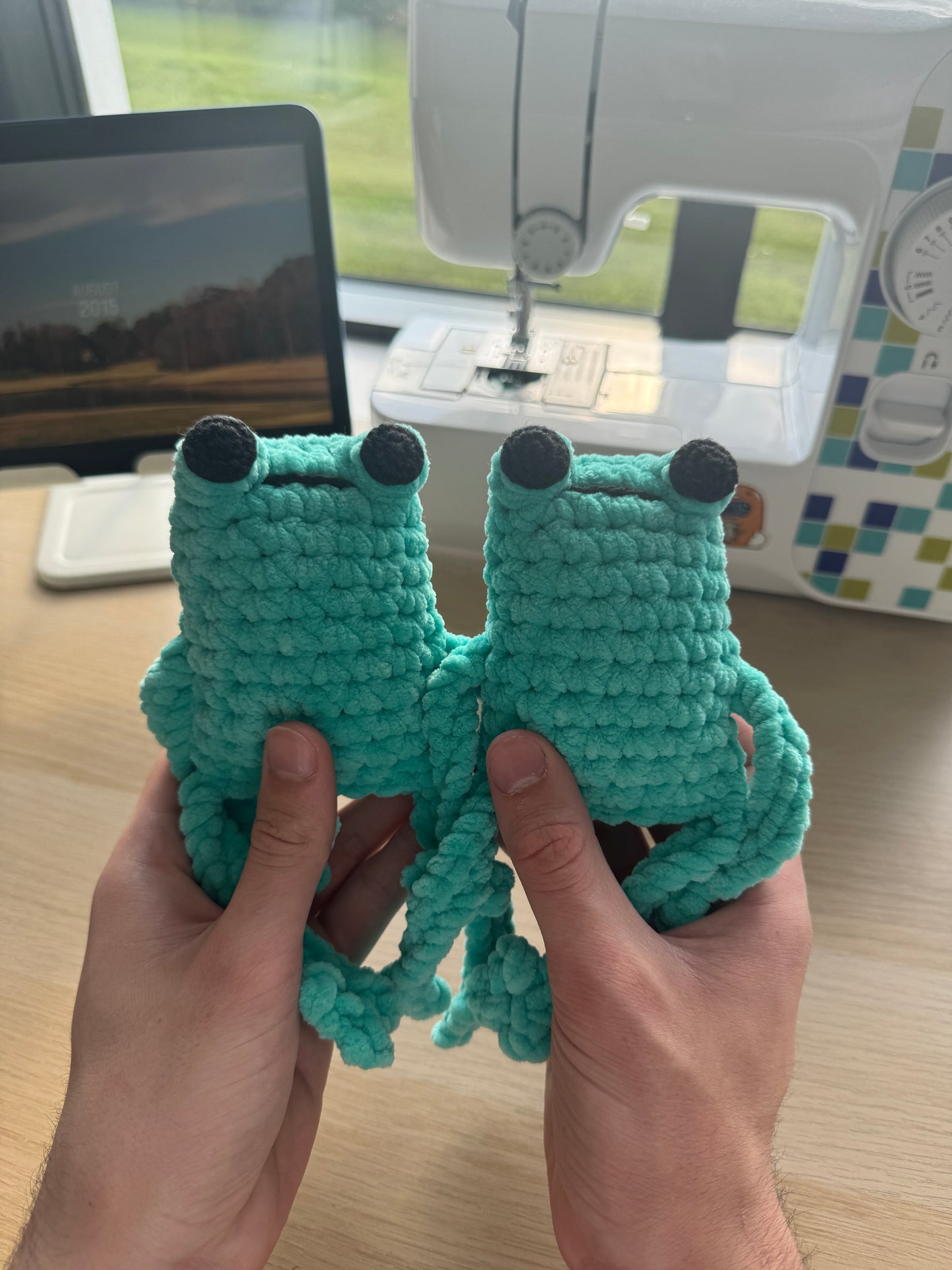 Handmade jumbo crochet leggy frog plushie