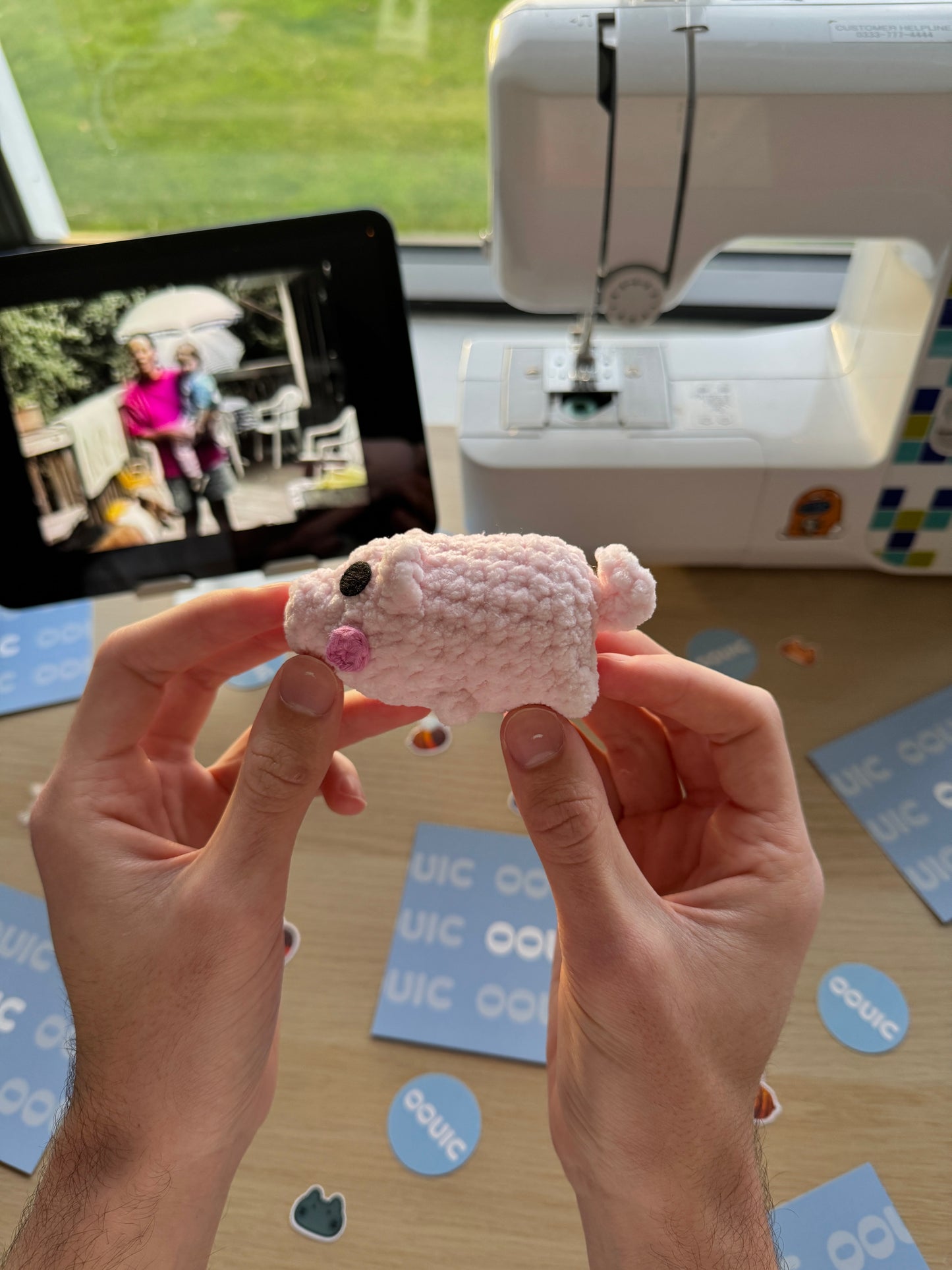 Handmade pig plushie