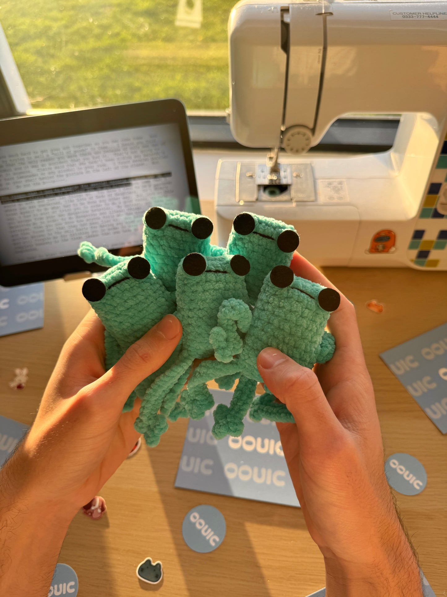 Handmade leggy frog plushie