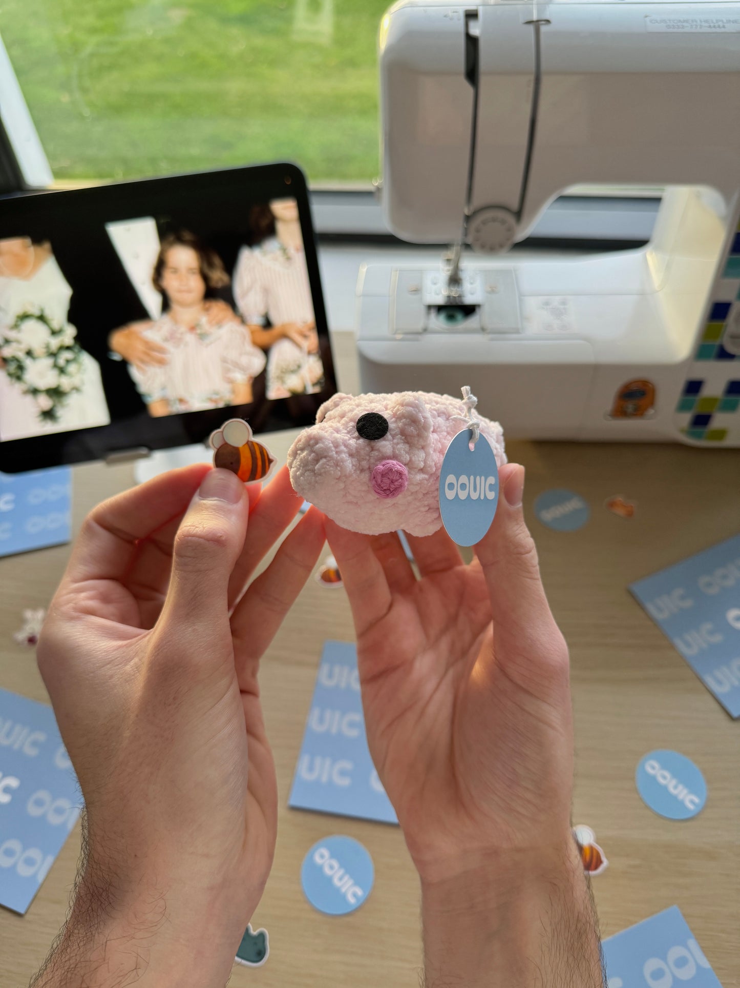 Handmade pig plushie