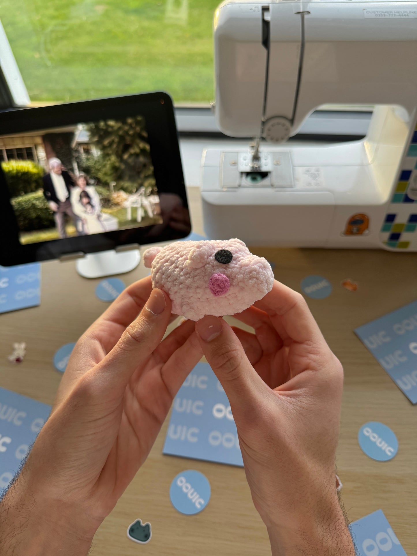 Handmade pig plushie