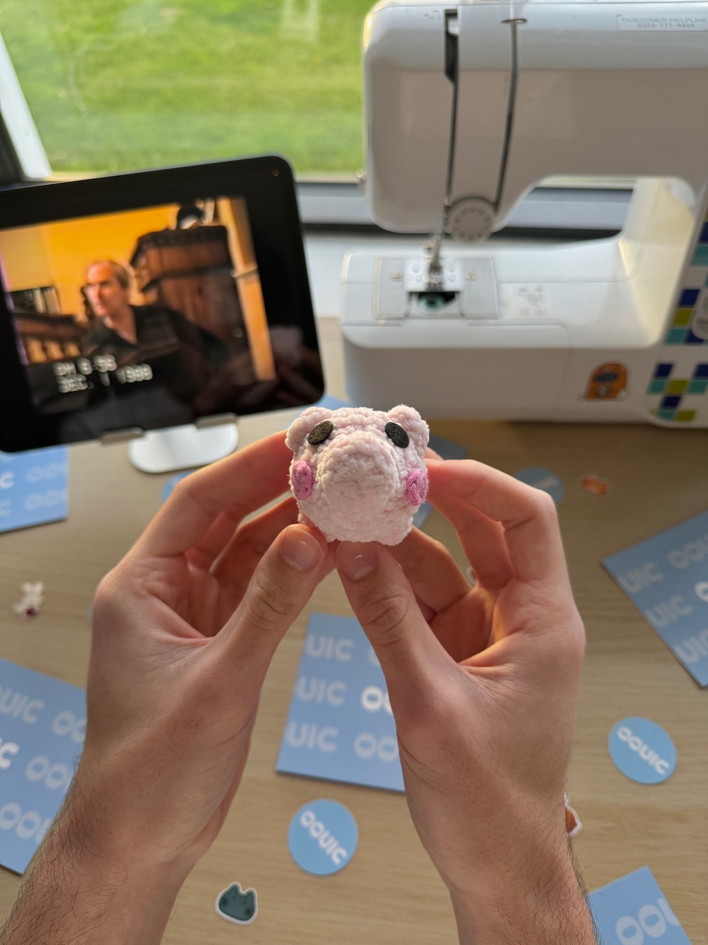 Handmade pig plushie